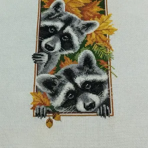 «Любопытные еноты»